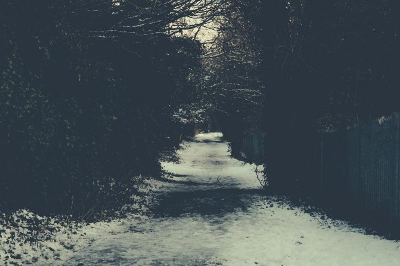 Free stock image of Path created by StockSnap