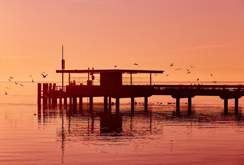 Free stock image of Dock created by StockSnap