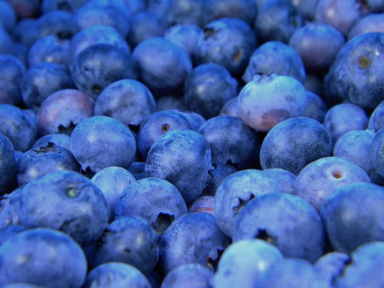 Free stock image of Blueberries created by StockSnap