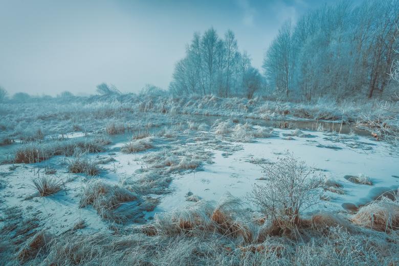Free stock image of Nature created by StockSnap