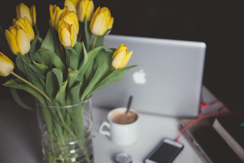 Free stock image of Yellow Flowers created by StockSnap