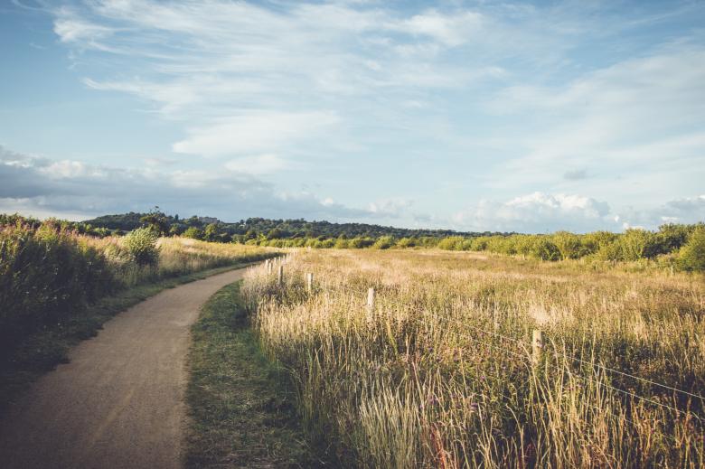 Free stock image of Field created by StockSnap