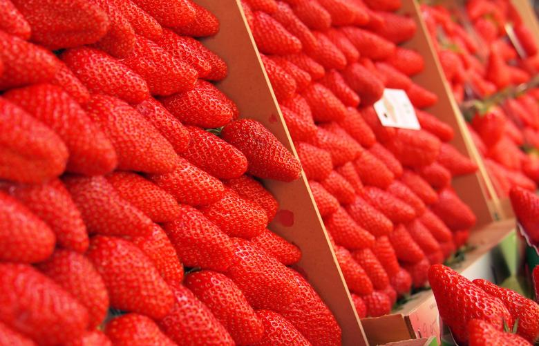 Free stock image of Strawberries created by StockSnap