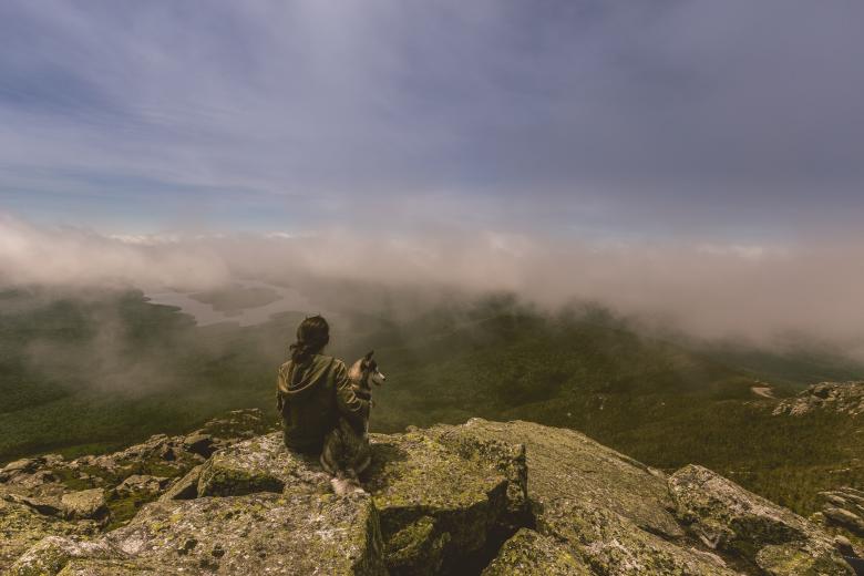 Free stock image of Observing created by StockSnap