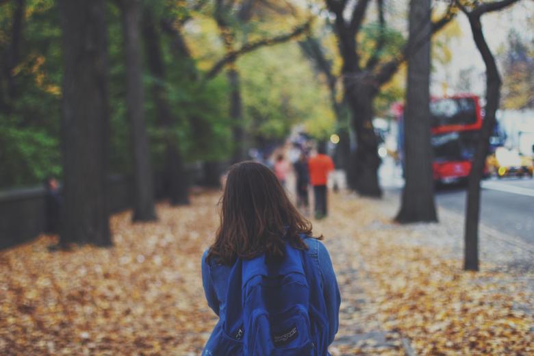 Free stock image of Street created by StockSnap