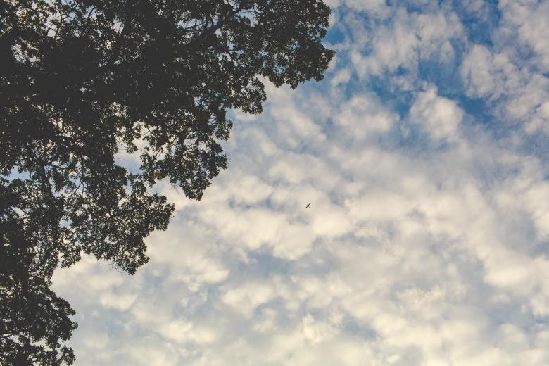 Free stock image of Sky created by StockSnap