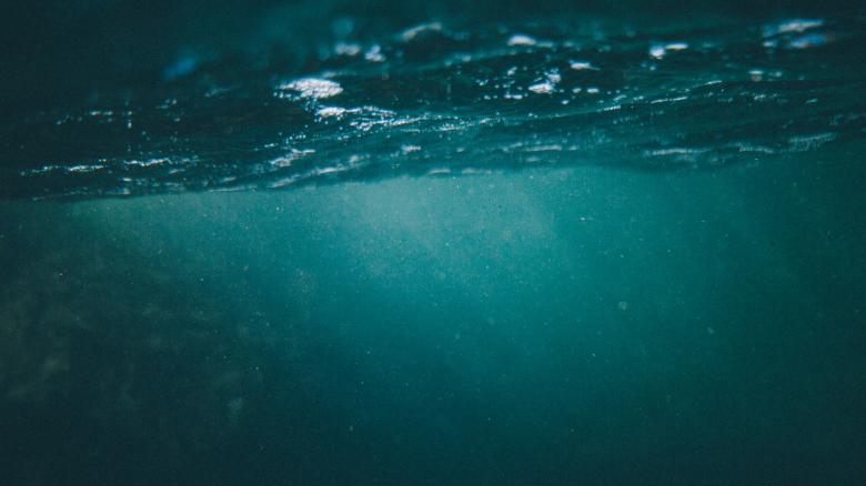 Free stock image of Underwater created by StockSnap