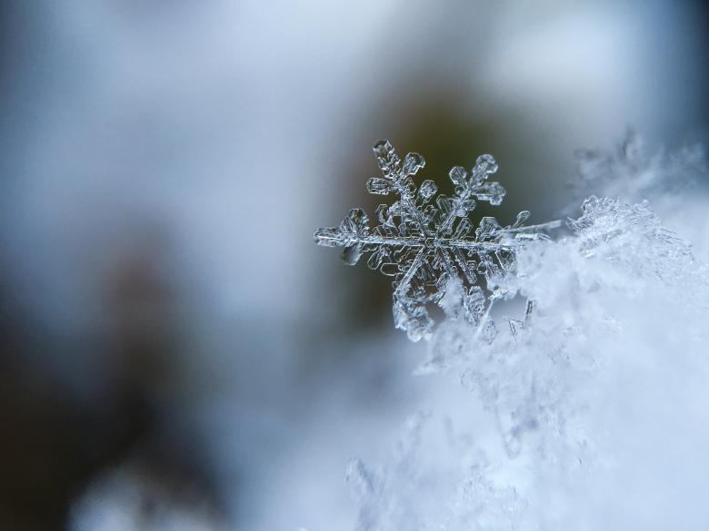 Free stock image of Ice Craving created by StockSnap
