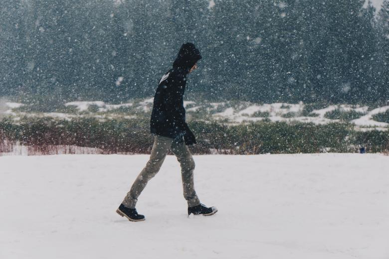 Free stock image of Snowfall created by StockSnap