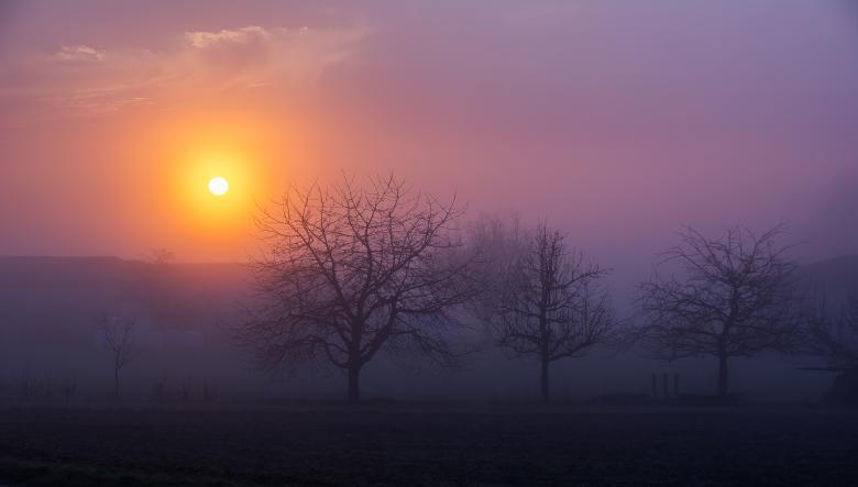 Free stock image of Sunset created by StockSnap