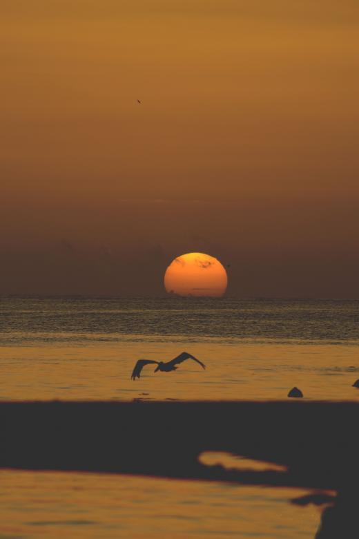 Free stock image of Sunset created by Unsplash