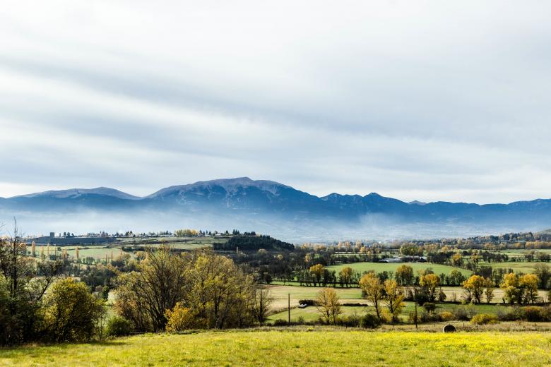 Free stock image of Nature created by Unsplash