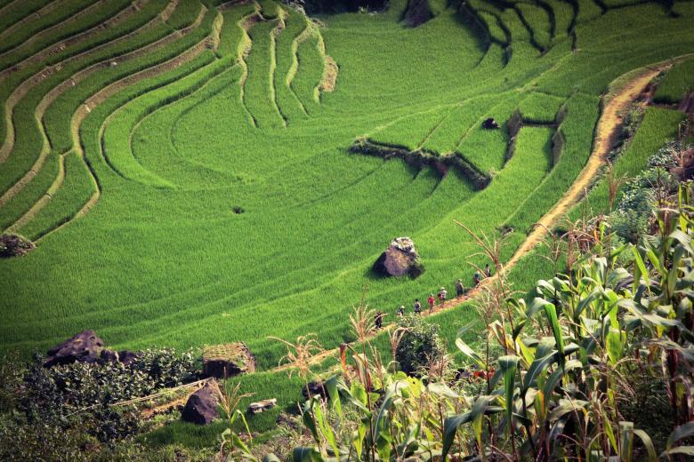 Free stock image of Field Design created by Unsplash