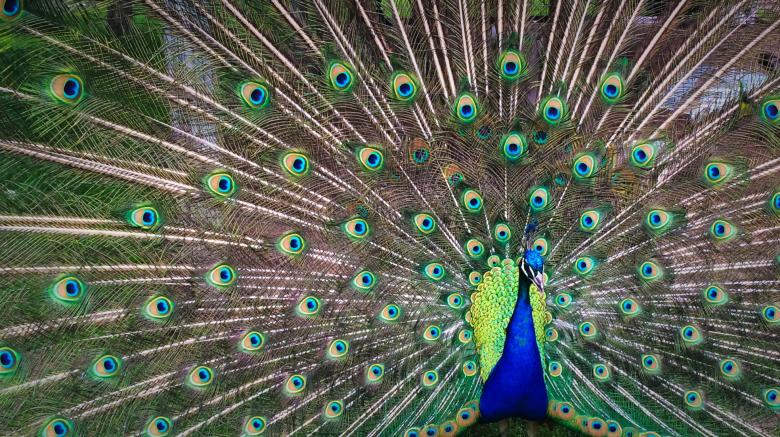 Free stock image of Colors of Nature created by Unsplash