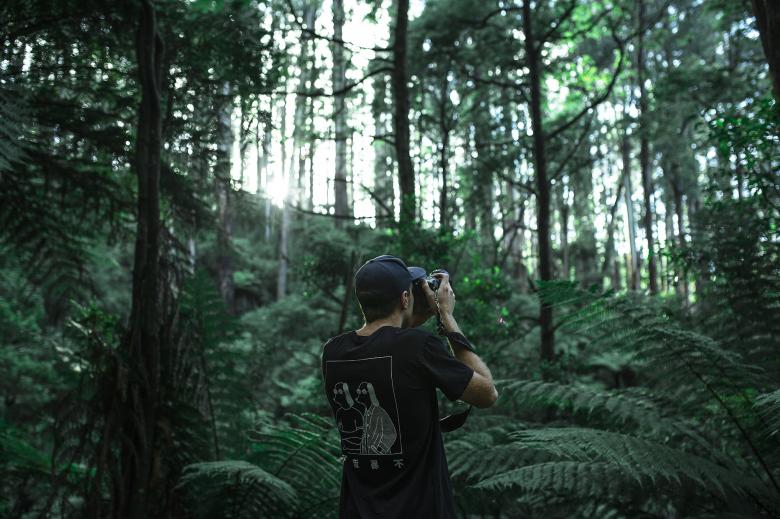 Free stock image of Capturing Nature created by Unsplash