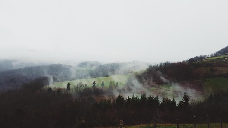 Free stock image of Lush Green created by Unsplash