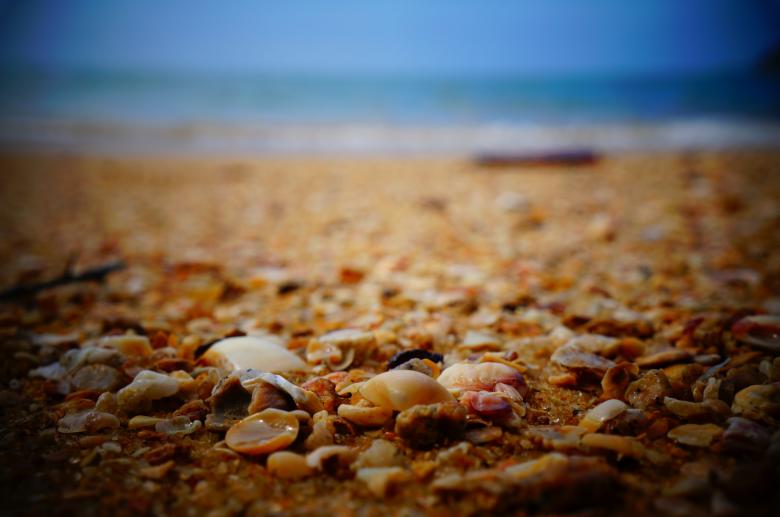 Free stock image of Beach created by Unsplash