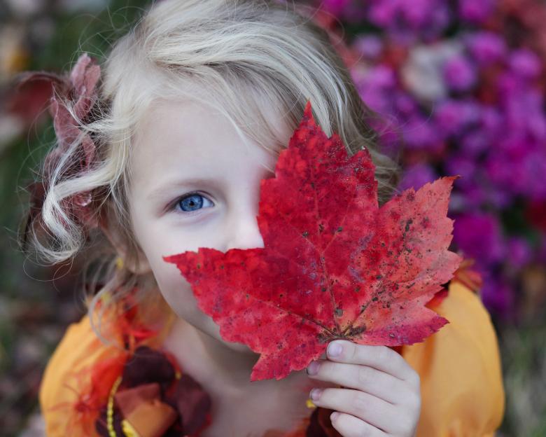 Free stock image of Hide n Seek created by Unsplash