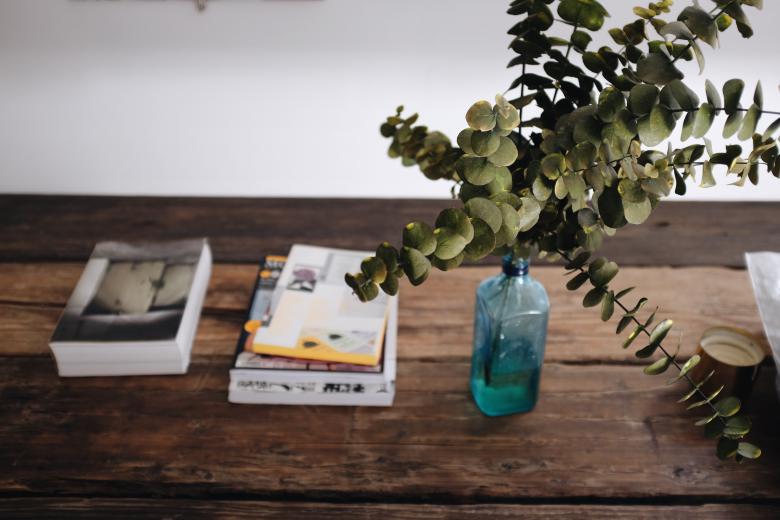Free stock image of Plant Feeding from a Bottle created by Unsplash