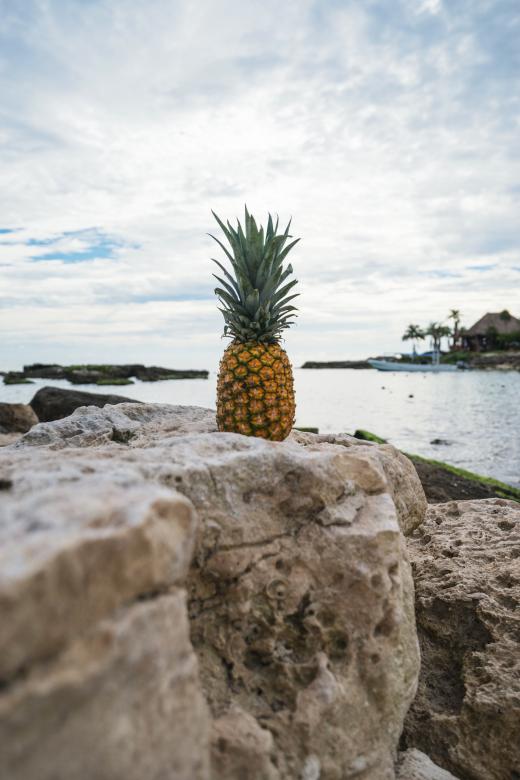 Free stock image of Pineapple created by Unsplash