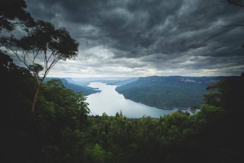 Free stock image of Forest Landscape in Nature created by Unsplash