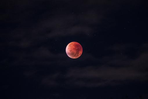Red Moon - Free Stock Photo