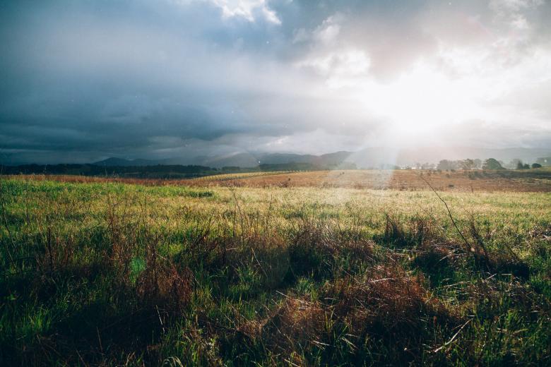 Free stock image of Field created by StockSnap