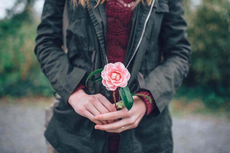 Free stock image of Flower In Hand created by StockSnap