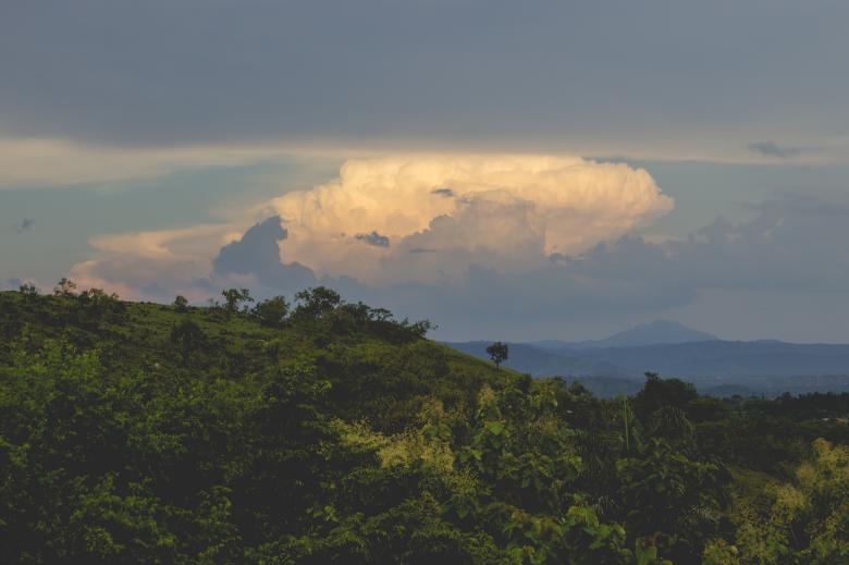 Free stock image of Forest created by StockSnap