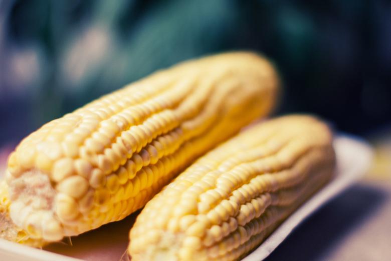 Free stock image of Corn created by StockSnap