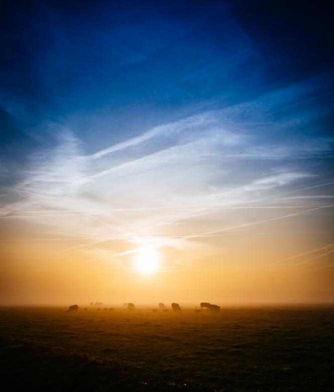 Free stock image of Nature created by StockSnap