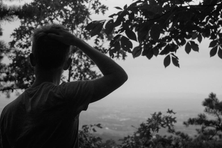 Free stock image of Observe created by StockSnap