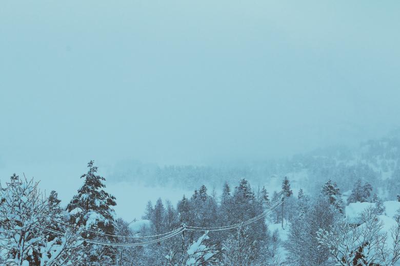Free stock image of Frozen trees created by StockSnap