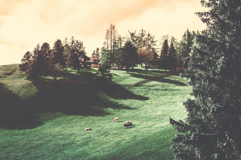 Free stock image of Curvy created by StockSnap