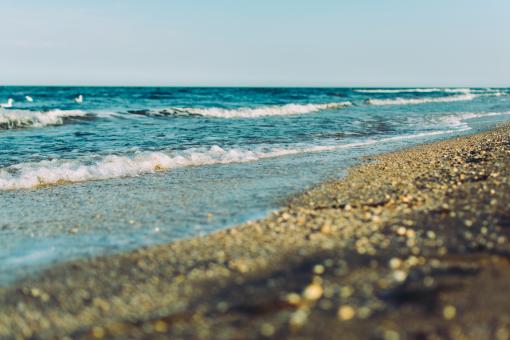 Sea  - Free Stock Photo
