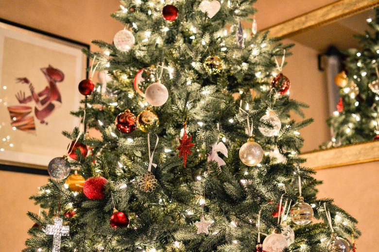 Free stock image of Christmas Tree created by StockSnap