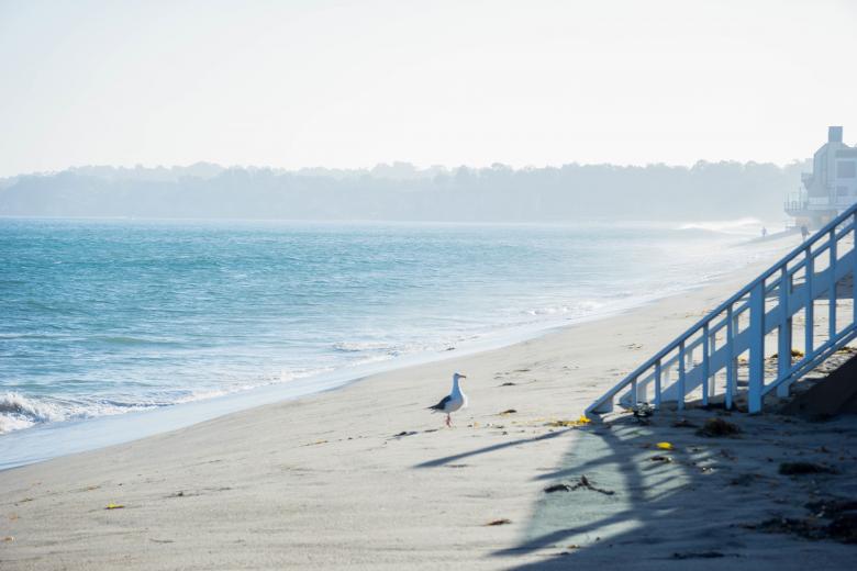 Free stock image of Beach created by StockSnap
