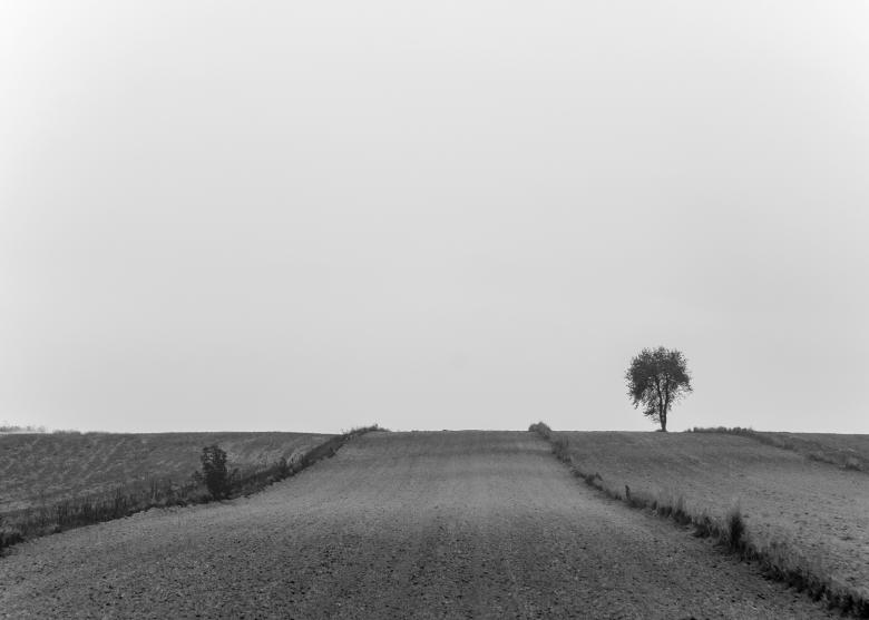 Free stock image of Landscape created by StockSnap