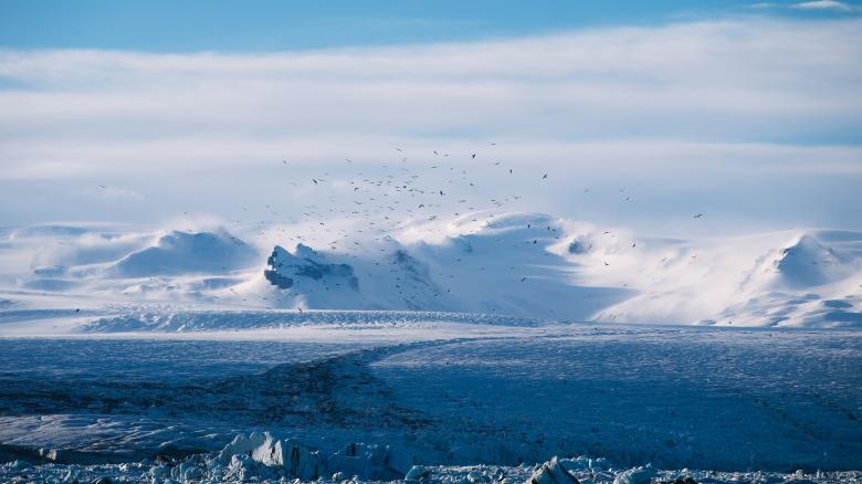 Free stock image of Snowy Landscape created by StockSnap