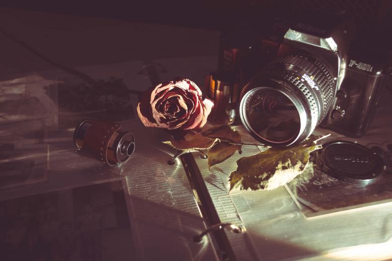 Free stock image of Camera, film and rose created by Unsplash