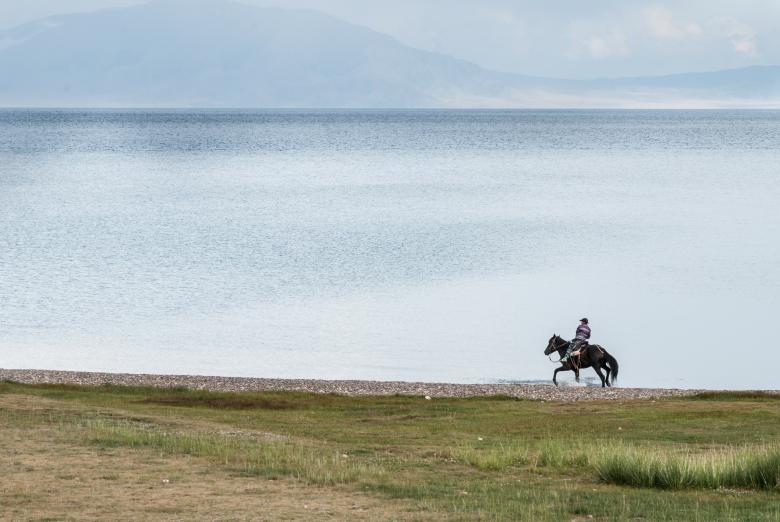 Free stock image of Rider on the Shore created by Unsplash