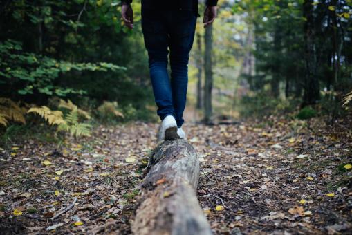 Walk to the Wild - Free Stock Photo