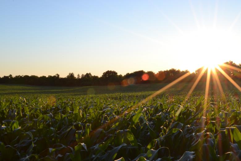 Free stock image of Rays of Sunlight created by Unsplash