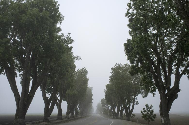 Free stock image of Foggy created by Unsplash