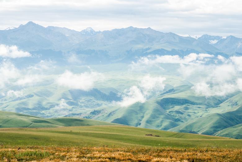 Free stock image of Lush Green created by Unsplash