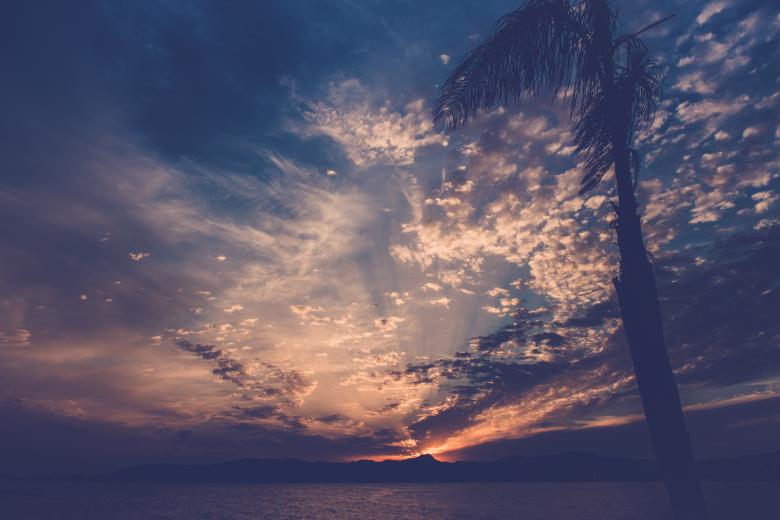 Free stock image of Tropical Sunset created by Unsplash