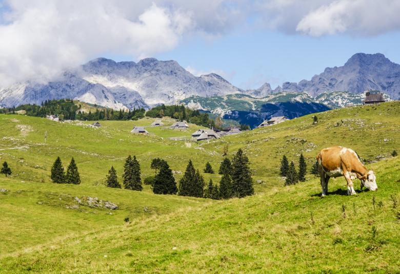 Free stock image of Nature created by Unsplash