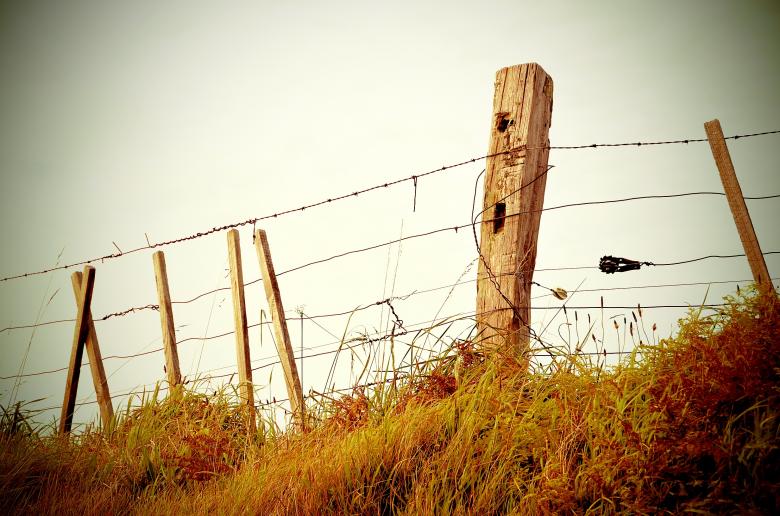 Free stock image of Fencing created by Unsplash