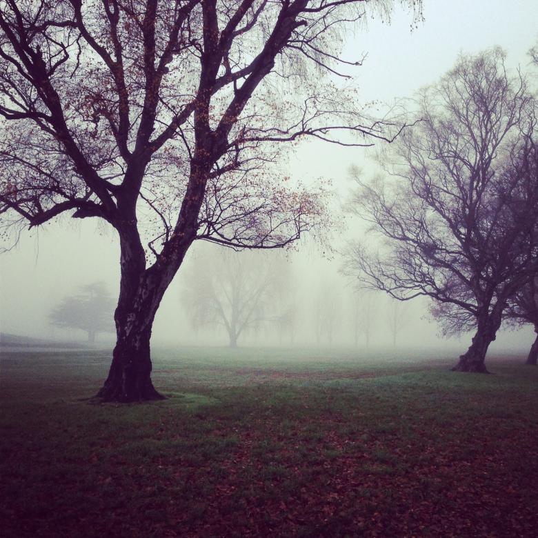 Free stock image of Foggy created by Unsplash