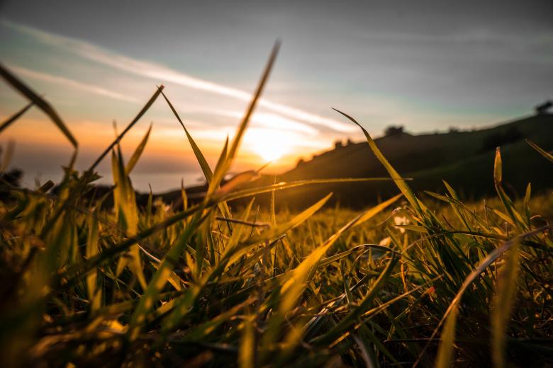 Free stock image of Sunlight  created by Unsplash